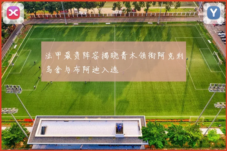 法甲最贵阵容揭晓青木领衔阿克利乌舍与布阿迪入选