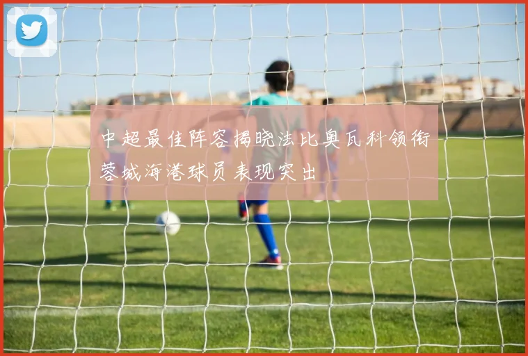 中超最佳阵容揭晓法比奥瓦科领衔蓉城海港球员表现突出