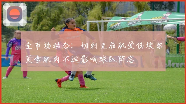 全市场动态：切利克屈肌受伤埃尔莫索肌肉不适影响球队阵容