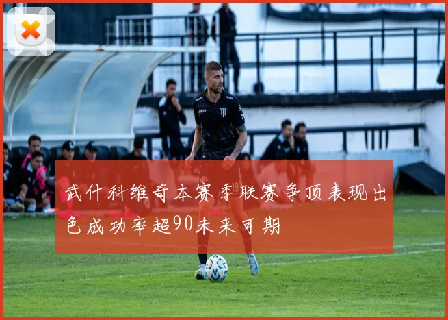 武什科维奇本赛季联赛争顶表现出色成功率超90未来可期