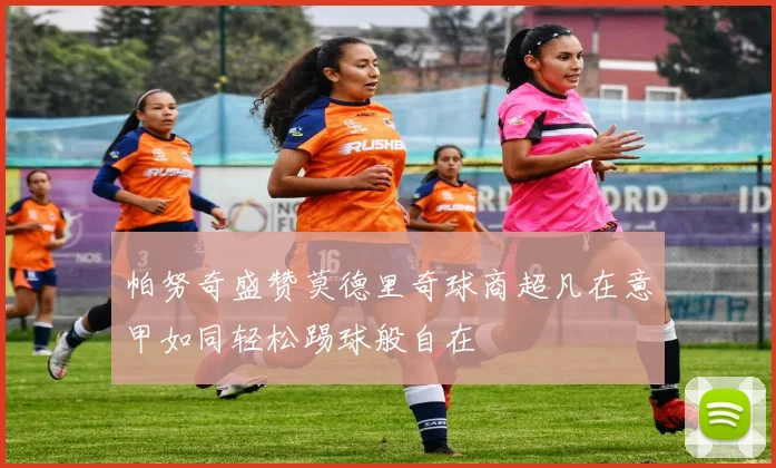 帕努奇盛赞莫德里奇球商超凡在意甲如同轻松踢球般自在